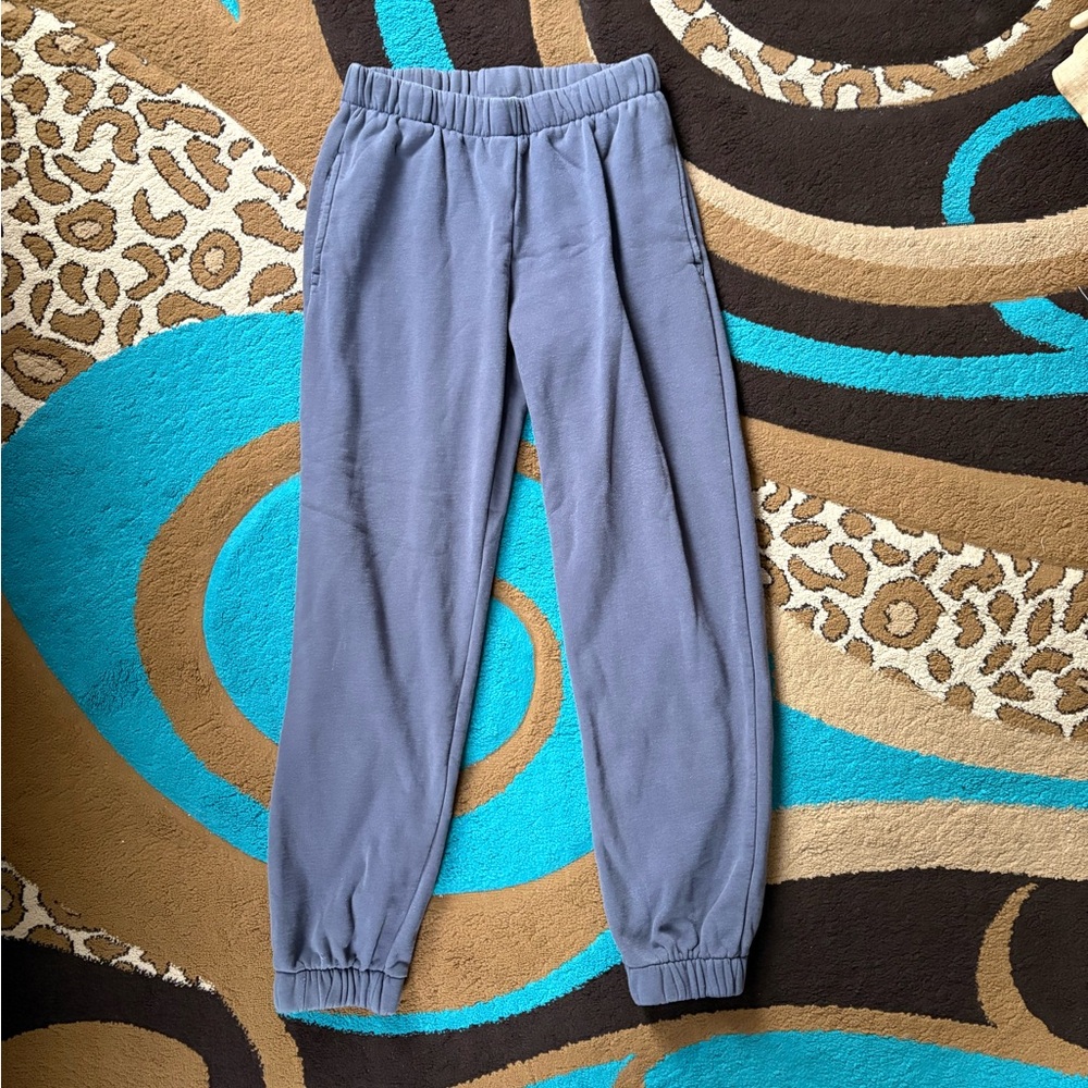 Brandy Melville John Galt Blue Sweatpants